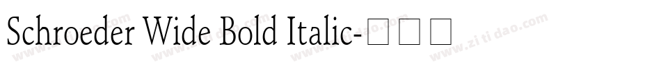 Schroeder Wide Bold Italic字体转换